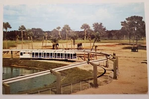 Postal de colección Skyrail Safari espectáculos elefantes Tampa FL monorraíl Busch Gardens - Imagen 1 de 2