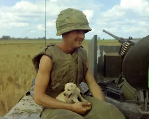 Soldado encontró un cachorro que sobrevivió al ataque aéreo 8x10 Guerra de Vietnam Foto 662 - Imagen 1 de 1