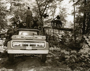 Holzfäller mit Chevy Trucks Schleppen Baumstämme Chevrolet Trucks Holzlager LKWs 1960 - Bild 1 von 1