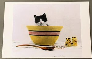 #K2356 CARTOLINA GATTO, GATTO SEDUTO IN UNA CIOTOLA - Foto 1 di 2