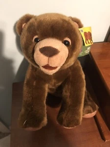 Nuevo con etiquetas Kohls Cares Kohls Oso Marrón Peluche Eric Carle 2008 RARO - Imagen 1 de 8