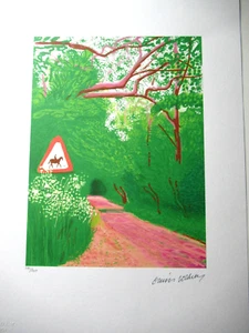 DAVID HOCKNEY: Schöne Lithographie "REITERWEG" 50x35cm Limitiert xx/200 - Bild 1 von 9