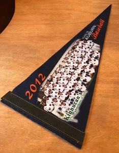 2012 Auburn University Baseball Pennant - Picture 1 of 5