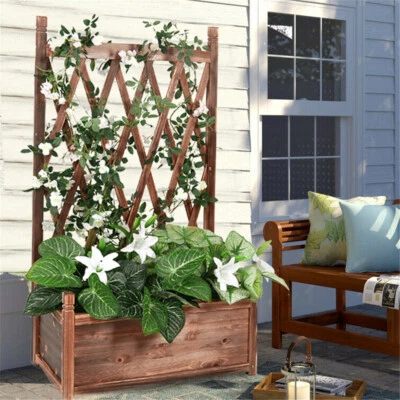 Maceta de verduras enrejado exterior elevado jardín cama patio trasero pantalla de privacidad Foto 1 de 4