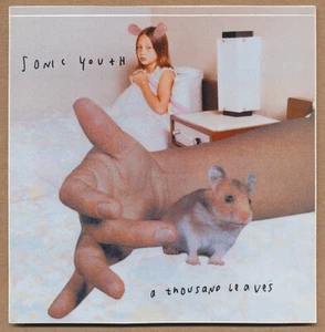 Sonic Youth - A Thousand Leaves + NYC Ghosts... RARE promo sticker + postcard - Picture 1 of 3