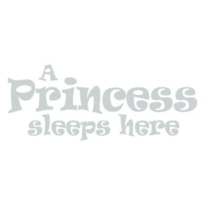 A Princess Sleeps Here Wall Art Sticker Child Girls Bedroom Nursery Quote Decal
