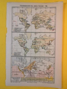 1905 WORLD Reptiles ANIMAL DISTRIBUTION Map Vintage Eng Zoology 6.5 x 9.5" C20-2 - Picture 1 of 3