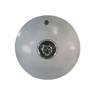 Tapa central de cubo de rueda Growler de metal Vanden Plas Vande XJ40 XJ6 1990-1994 OEM Foto 1 de 4