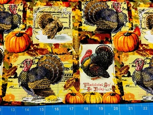 Tina SCRAP Fabric Cotton 9"x21" Leaf Pumpkin Fall Autumn Turkey Vintage Corn - Picture 1 of 1