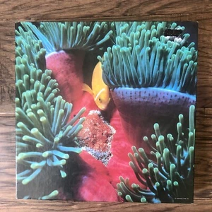 Springbok Puzzle Pesce Oceano Tropicale Il Mare Vivente Completo Tutti 500+ Pezzi - Foto 1 di 11