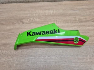 Carenado inferior izquierdo Kawasaki Ninja 400 2018 55028-0645 - Imagen 1 de 15