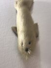 Vintage Souvenir Toy Figure Real Fur Stuffed Miniature Seal Pup Figurine 5” Long
