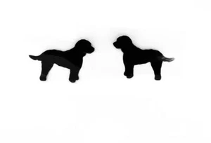 Cockapoo Dog Stickers Iron On Decals For Clothes T-Shirt DIY 50mm x 2 - Picture 1 of 1