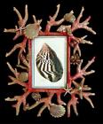 MINT JAY STRONGWATER CORAL REEF ENAMEL CRYSTALS 13” by 10’ GROTTO FRAME with BOX