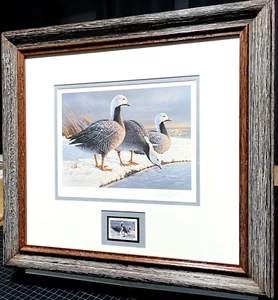 Daniel Smith 1985 Alaska Waterfowl Duck Stamp Print With Stamp - Brand New Frame - Bild 1 von 5