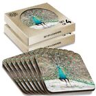 8 x Boxed Square Coasters - Pretty Peacock Bird Feathers  #3970