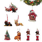 Dog Ornaments for Christmas Tree 8PCS Flat Acrylic Daschund Fun Crafts Home 