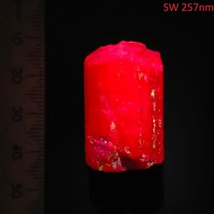 Scapolite UV reactive short wave natural crystal raw mineral specimen 91ct - Picture 1 of 9