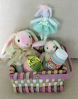 Easter Basket w/ Ty Hippie Beanie & Basket Beanie + Egg w/ Plant Inside +Bubbles
