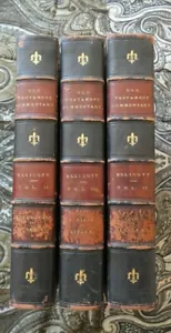 old testament comentary edited by charles john ellicott d.d. vol 2,3,4 - Foto 1 di 12