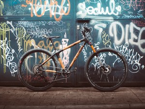 Bamboo Bike a Telai biciclette | Acquisti Online su eBay
