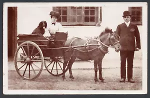 AK Pony und Falle Kutsche Ehepaar mit Hund unbekannter Ort frühe RP - Bild 1 von 2