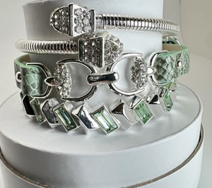 Bomb Party Summer '25 Luxe Stack - ST54503 "Es verde con envidia" en plata - Imagen 1 de 6