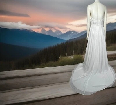 Vestido de novia blanco sin mangas vestido halter adornado con cuentas tren cuello en V pequeño 6 Foto 1 de 4