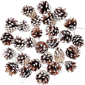 24 Pieces Christmas Pine Cone Ornaments-3 to 4cm,Natural PineCones with Strin... - Picture 1 of 9