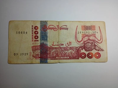 Algeria 1000 Dinar 1998 Circulated Condition Foreign Banknote World Paper Money - Image 1 of 2