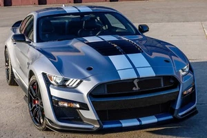 Ford Mustang Bonnet Roof Rear Side Stripes Graphics Any Year Rally Decal GT - Picture 1 of 4