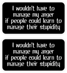 Lustige MANAGE MY ANGER Hard Hat Aufkleber | Helm Aufkleber Bau Zitat USA - Bild 1 von 1