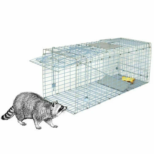 ZENY 32 inch Humane Live Animal Trap Cage