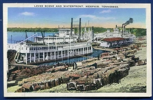 Levee Baumwollszene Memphis Tennessee Postkarte #2 - Bild 1 von 2