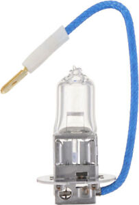 Fog Light Bulb-Standard - Single Blister Pack Philips H3B1