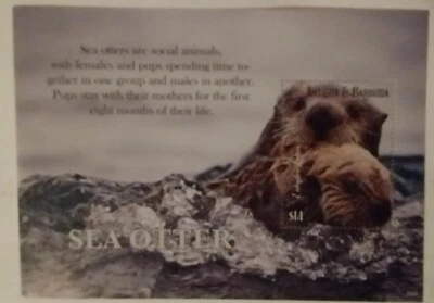 Antiqua & Barbuda. 2020. MNH. 2020 Sea Otters. Souv. Sheet. sal's stamp store. - Image 1 of 2