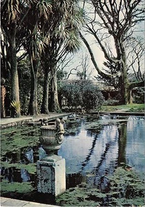BT17851 logan botanic garden cabbage palms scotland - Picture 1 of 2