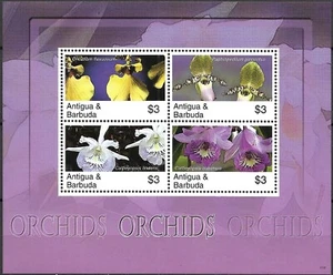 Hoja de recuerdo ""Flores - ORQUÍDEAS"" de Antigua y Barbuda 2007 montada sin montar o nunca montada¡! - Imagen 1 de 1