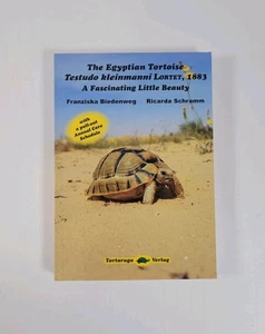 The Egyptian Tortoise: Testudo kleinmanni Lortet 1883 – A Fascinating Little Bea - Picture 1 of 2