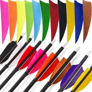 50x Archery Feather Fletching 3" Turkey Natural Feather Right LeftWing Arrow DIY - Picture 1 of 29