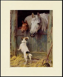 JACK RUSSELL DRAHT FOX TERRIER UND PFERDE HUNDEDRUCK MONTIERT RAHMENFERTIG - Bild 1 von 1