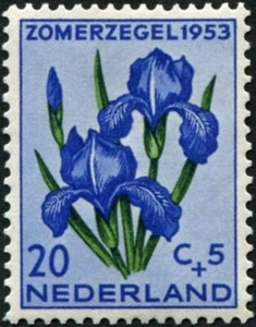 NETHERLANDS 1953 10c+5c green and deep bright blue SG768 MH FG Dutch Iris #A05 - Picture 1 of 2