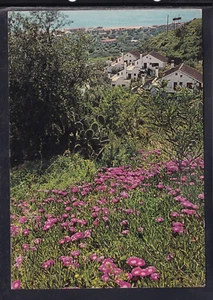 Cartolina Costaraba di Montauro TB179 - Picture 1 of 1