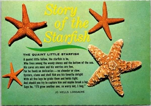 Postcard Story of the Quaint Little Starfish Jo Wells Longacre - Picture 1 of 2