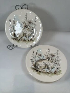 Set of 4 - Pier 1 Bunny Rabbit Floral Plate Soft Watercolor Spring Summer 8.75" - Picture 1 of 4