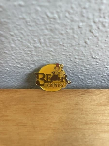Bear Country Walt Disney Film Emaille Pin Vintage Metall Pinback Pin Button - Bild 1 von 4