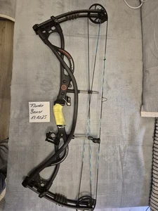 Hoyt Martrix Carbon Compoundbogen, Rechtshand, 40-50 Lbs, 27 Zoll Auszugslänge - Bild 1 von 6
