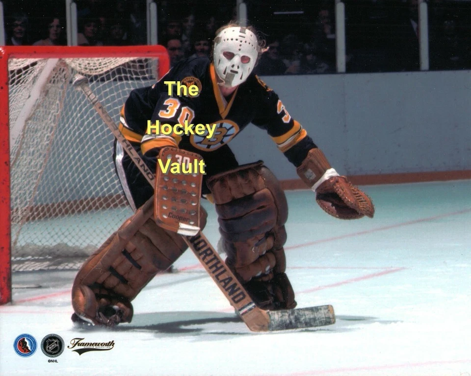 Dave REECE Boston BRUINS #30 Repositions CUSTOM 8X10 WHITE Crude FIBERGLAS Mask  - Image 1 of 1