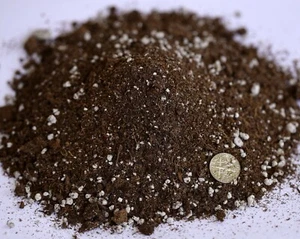 Soil  Lithops Conophytum sowing seedling  Soil - Picture 1 of 7