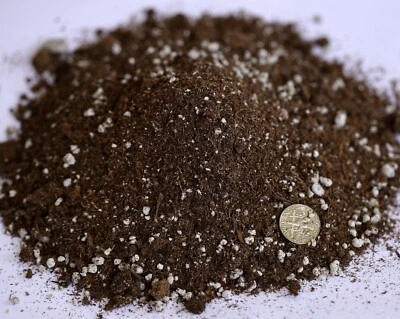 Soil  Lithops Conophytum sowing seedling  Soil - Image 1 of 4